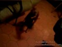 cleo toda una mujer