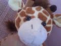Webkinz, kookeys, club penguin and more! Virtual pets sites Webkinz, kookeys, club penguin and more! Virtual pets sites