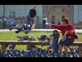 Timisoara ,eterna si fascinanta.