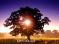 LIFEHOUSE EVERYTHING TRADUDIZA