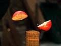 TAMESHIGIRI~Apple~