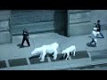 Polar Bears x Joshua Allen Harris