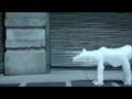 Polar Bears x Joshua Allen Harris