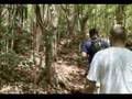 Coba Mexico
