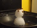 Death of the Snowman
