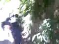 videos de Fieldtrip to TIKLAS falls