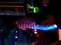 eisvo live \