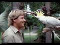 Steve Irwin Tribute Steve Irwin Tribute