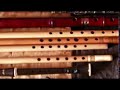 Ardelean-in-trei