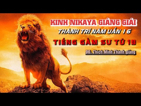 Kinh NIKAYA Giảng Giải – Thánh Trí Năm Uẩn 16 – Tiếng Gầm Sư Tử 1B