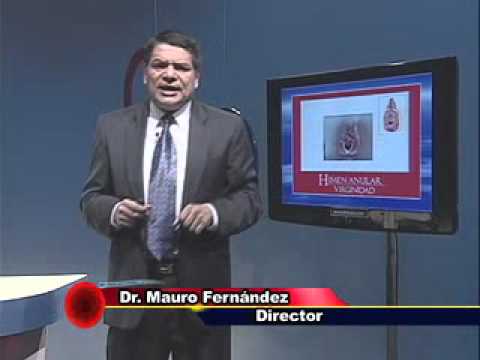 labios mayores