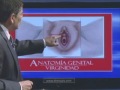 Himen y virginidad, I parte de II.