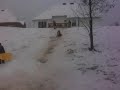 Bloomingdale Snow Ramo 5