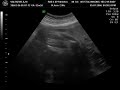 my baby\ my baby\