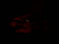 videos de Noooche de Paaaz
