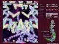 東方妖々夢 Lunatic GIL(天帝)氏リプレイ Stage6-2