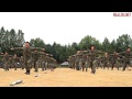 제 3공수여단 특공무술 비호형