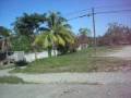 Ver Video