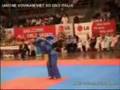 Vovinam Viet Vo Dao