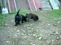 Picture 1759_Archos_.avi