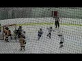 Maple Leafs vs Bears.03.13.10.Andre's Goal.mp4