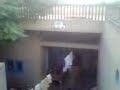 AJAY SANDHA PIND