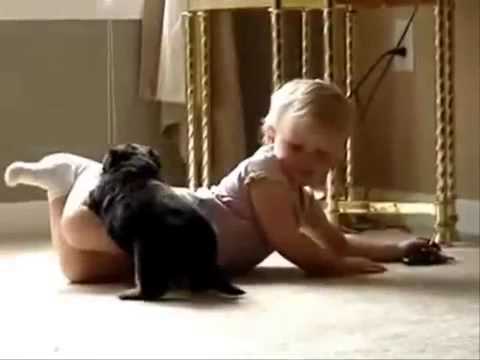 how to care rottweiler