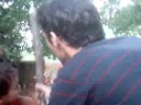 noyola's pinata