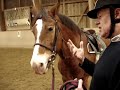 Colin Eastwood and Max II