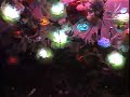 Festival Visuals "Their Hearts Were Full Of Spring" (PART 4)