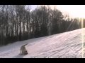 Video divertenti cani, il cane slitta sulla neve