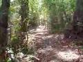 Etowah Indian Mounds