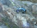 videos de TLT MUTANT CRAWLER, CRAWLING AT ORCHARD BEACH BRONX, NEW YORK