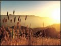 Free Stuff: Download Music and Videos Free Stuff: Download Music and Videos