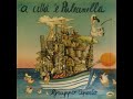 Gruppo Aperto - 'A Città 'E Pulecenella (1992)