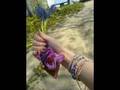 Y�rt�k Ucurtma   Yaln�z Sen www rawza net