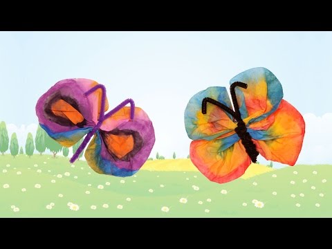 Papillon en filtre � caf�