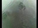 putra