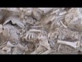 Excavación Arqueológica en el Camino del Molino