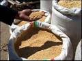 The Ethiopian Famine