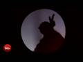 videos de Puppet