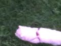 Mimi at the vacant lot