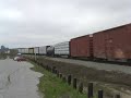 Good Size Union Pacific Manifest,Elkhorn Slough Reserve,CA