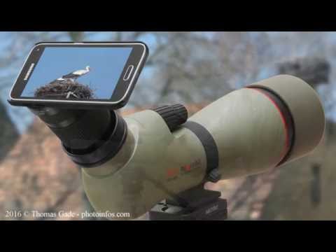 Digiscoping Smartphone mit dem Kowa Prominar TSN 883 Spektiv - Spotting Scope