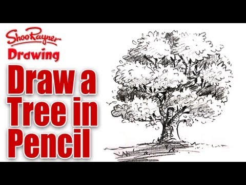 learn to draw a tree in pencil