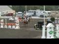 videos de Ecuador-Championship for four year olds-second qualifier 08