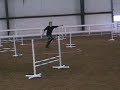 NADAC Jumpers Jan 2007