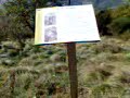 ROKKO AL MAUSOLEO DI CURZIO MALAPARTE