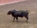 Ser charro es ser mexicano y muy cat�lico