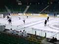 HockeyGiant.com - Who's Got YOUR Gear?
